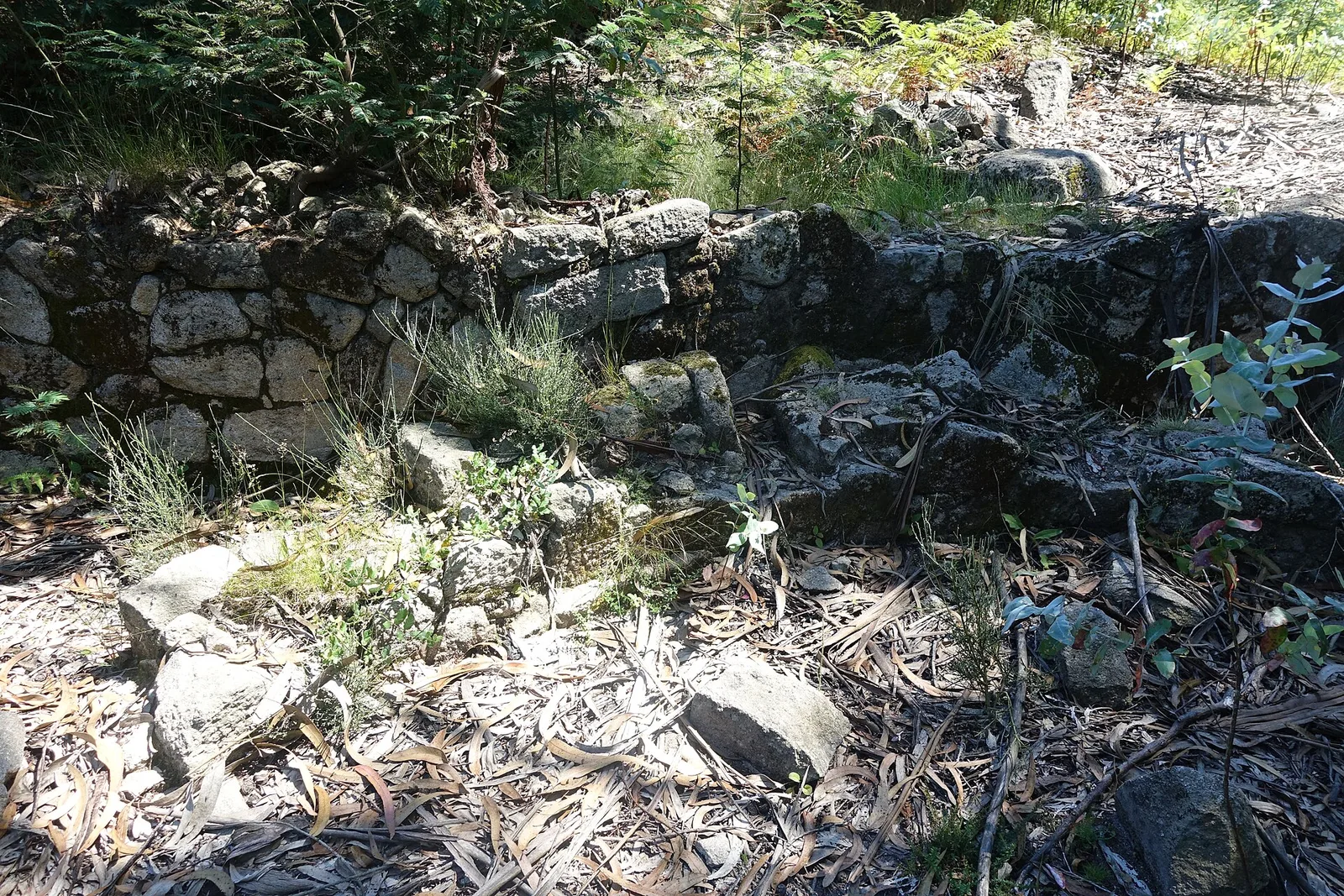 Castro de Sabroso